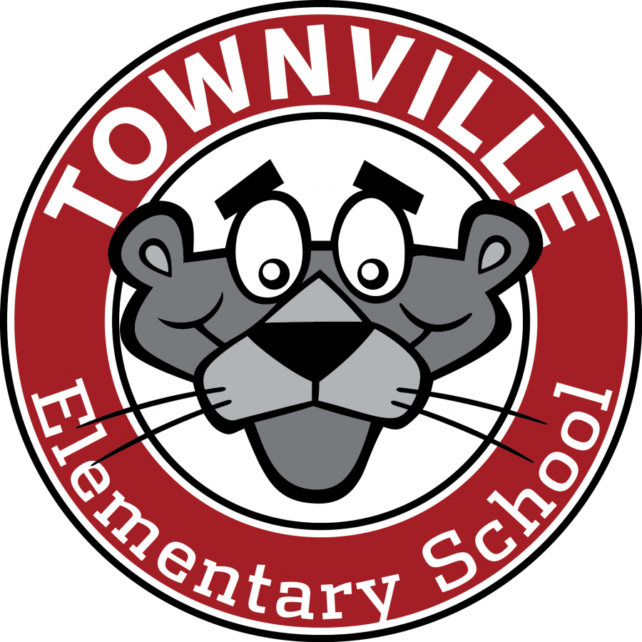 Townville Shooting to Increase School Security?