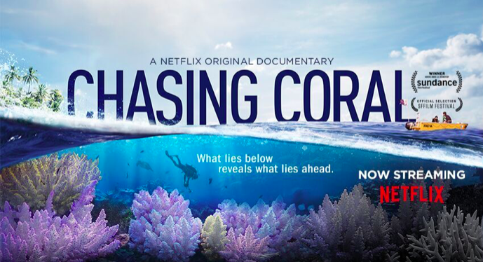 Chasing Coral Review