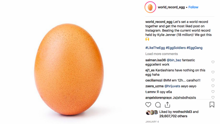 Meet the Owner of a New Egg-Citing Record