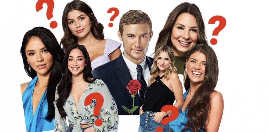 Which Bachelor Contestant Are You?
