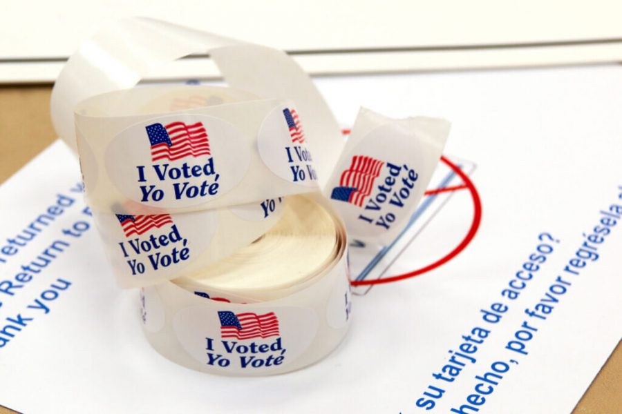 Why You Should Be A Poll Worker