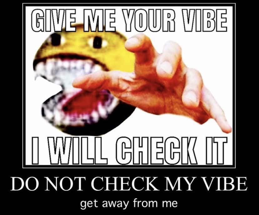 Can You Pass the Vibe Check?