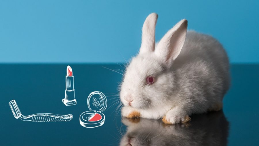 Is Your Makeup Hurting Innocent Animals? Probably...