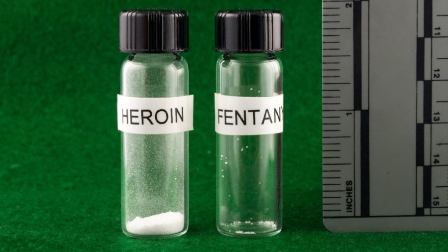 Fentanyl+and+Its+Growing+Responsibility+for+the+Next+Wave+of+the+Opioid+Crisis