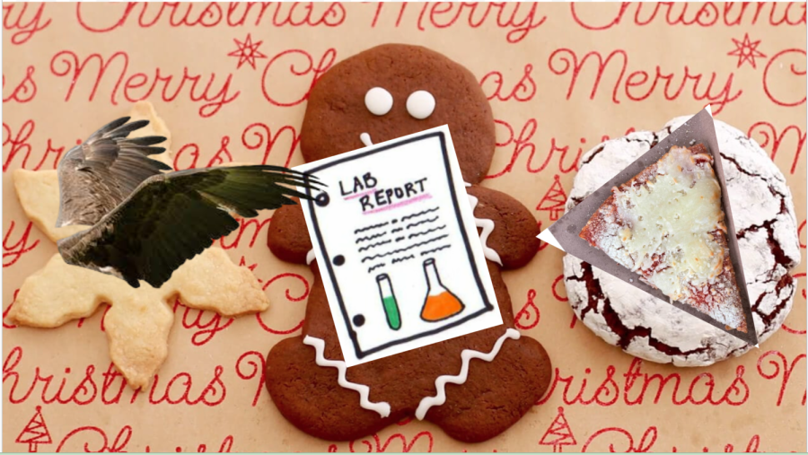 Best AMHS Themed Christmas Cookies + Quiz