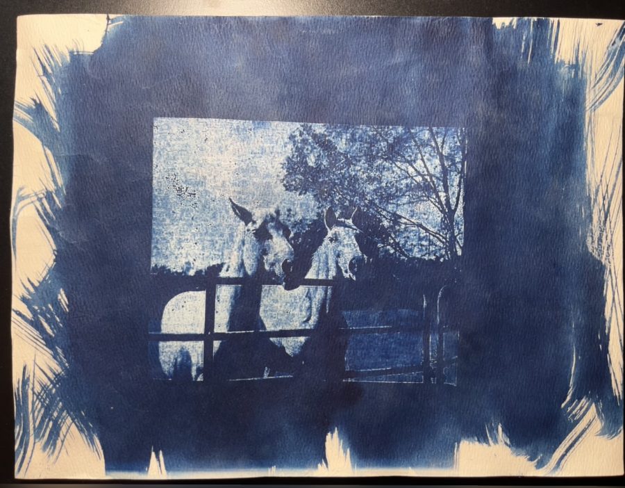 How to Cyanotype Negatives