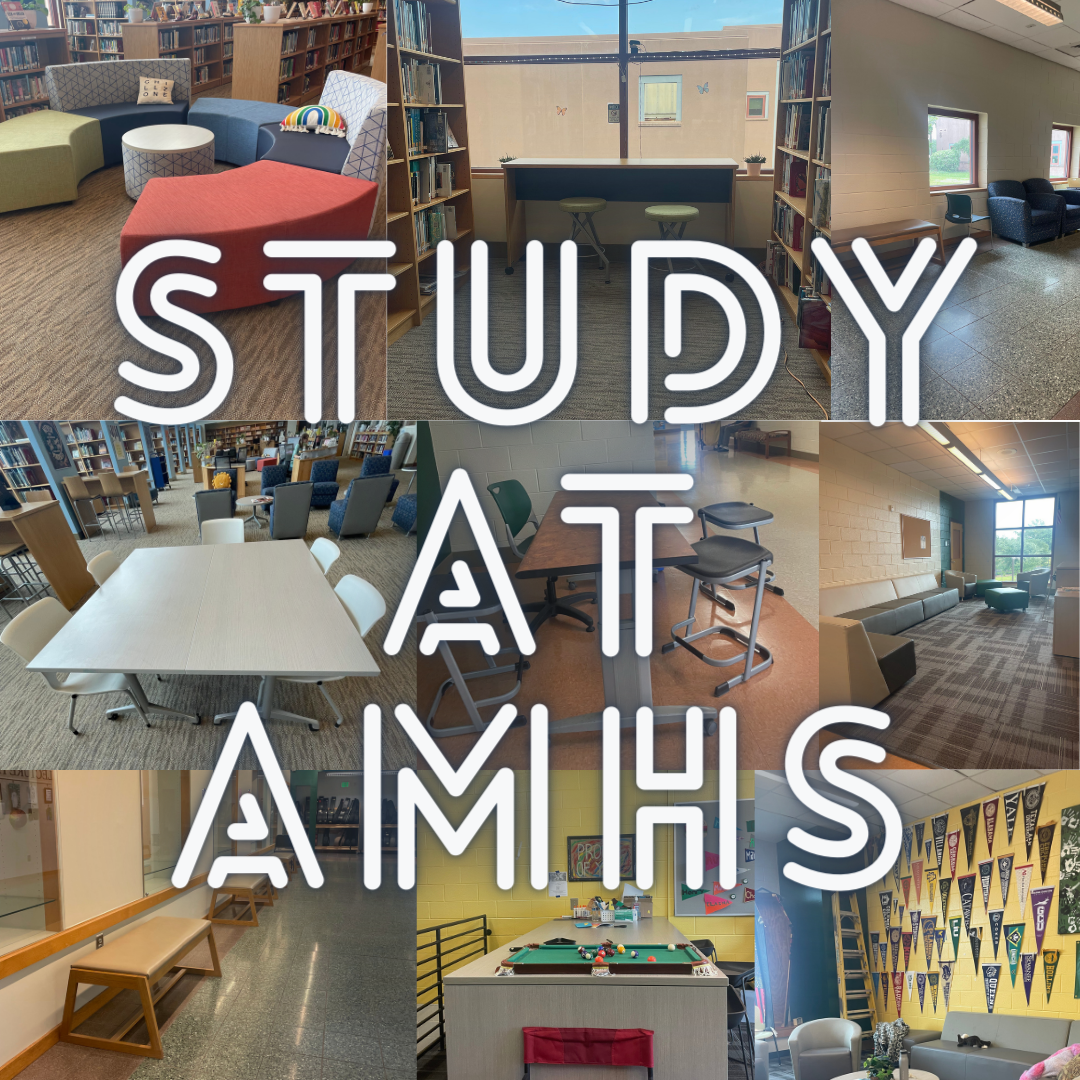 Where is the best place to study at AMHS? (poll included!!)