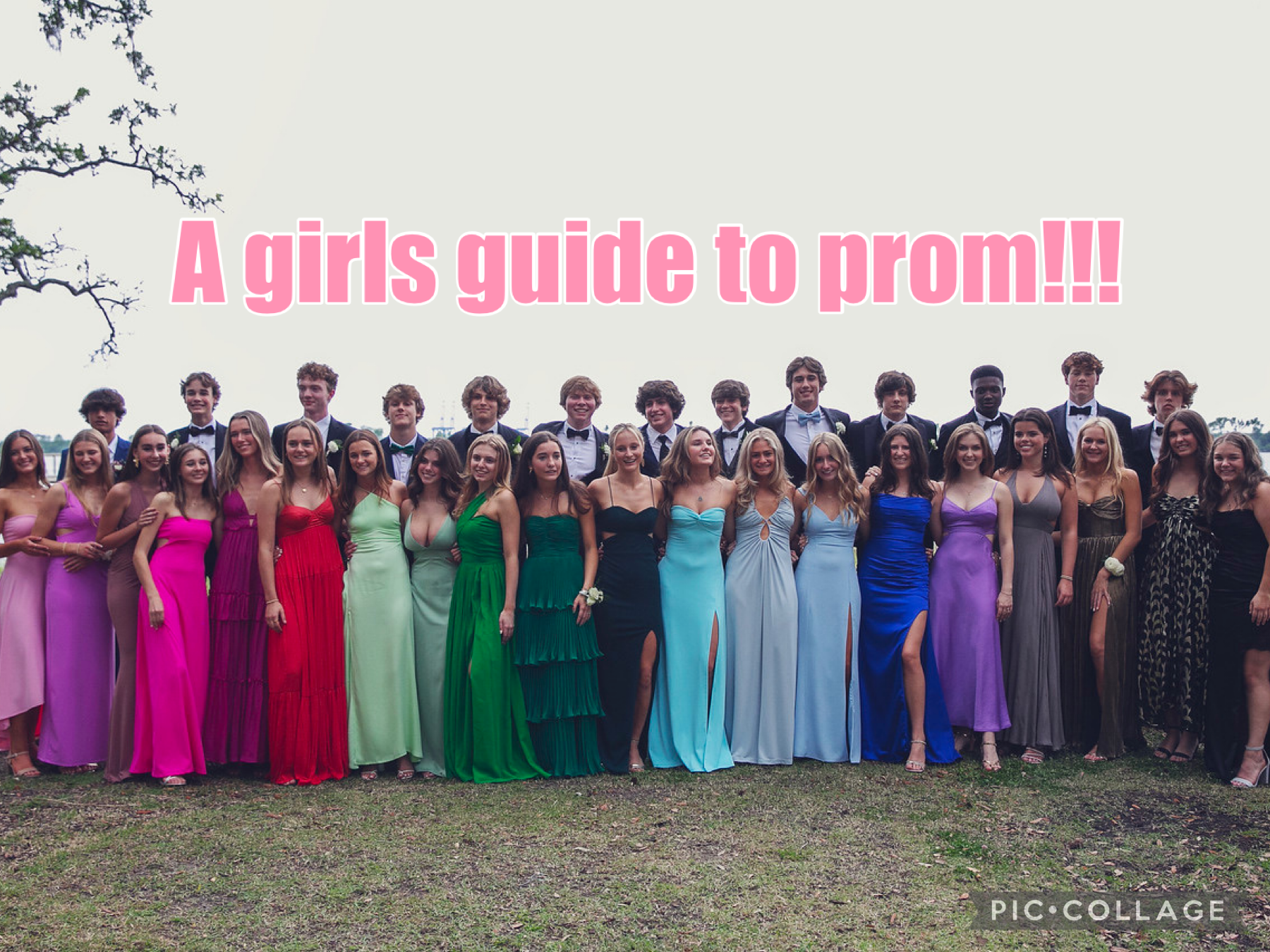 A Girls Guide to Prom