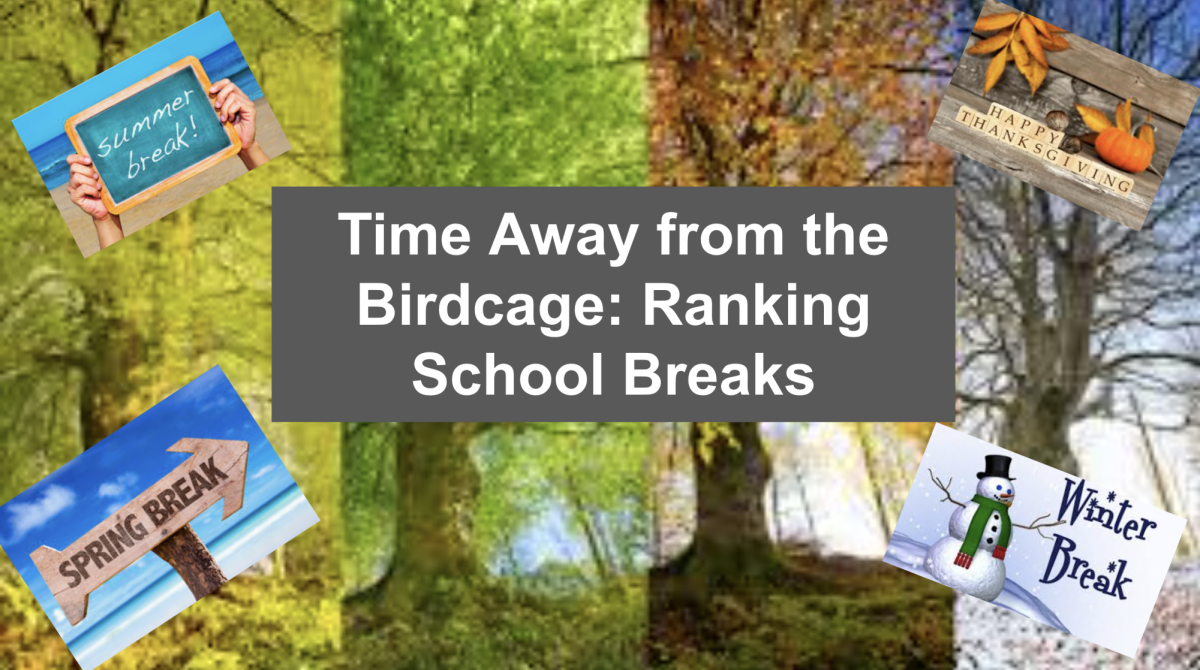 Time Away from the Birdcage: Ranking School Breaks