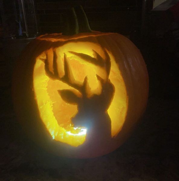 Jack-o-lantern carved by Katie Sheffield