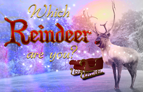 What Reindeer are you?