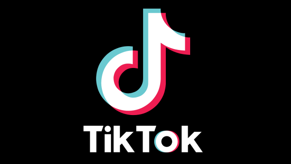 How Well Do You Know The Most Viral TikToks Throughout the Years?