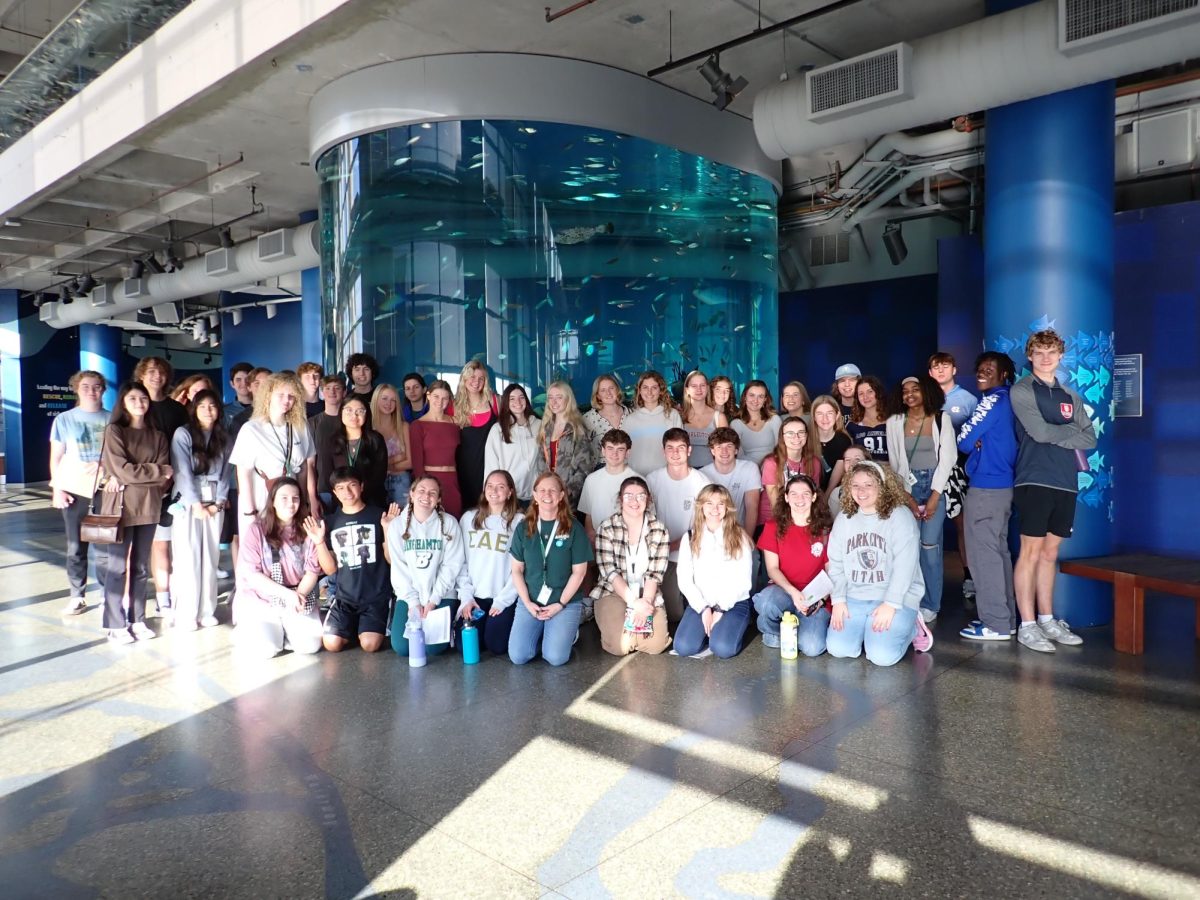 Marine Field Trip To The Aquarium