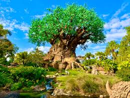 Crazy Animals and Plants