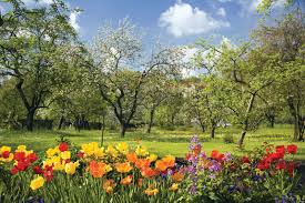 Spring Events