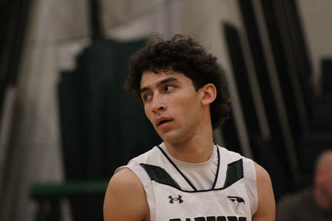 hoops flick